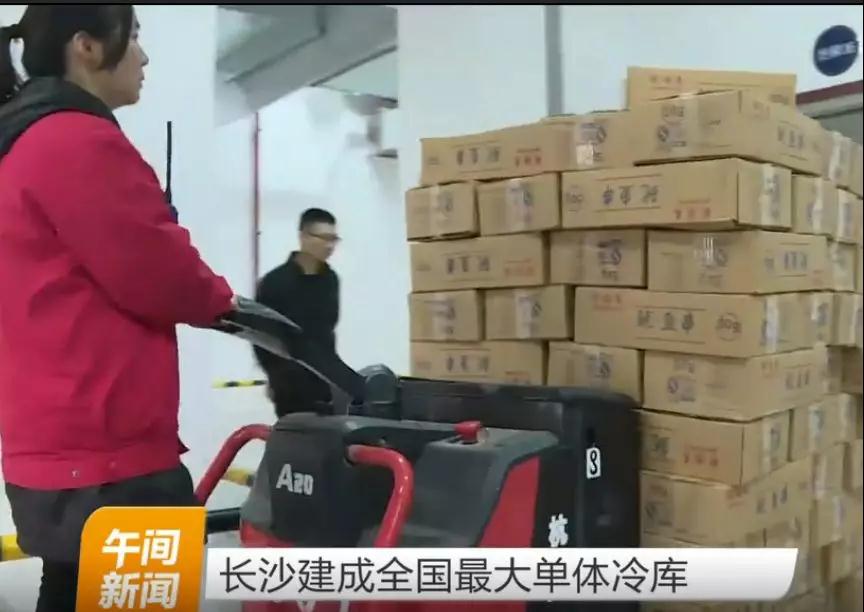 杭州叉車成為中國最大單體冷庫搬運主力軍！